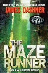 Image of The maze runner